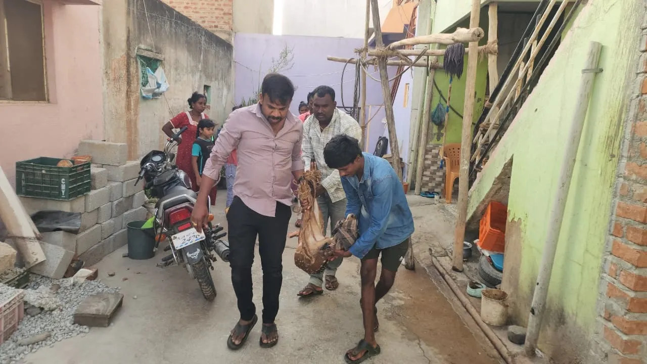 ನಾಯಿಗಳ ದಾಳಿಗೆ ಸಿಲುಕಿ ತಪತೇಶ್ವರ ಕಾಲೋನಿಯ ಮನೆಯ ಶೌಚಾಲಯಕ್ಕೆ ಸೇರಿದ ಜಿಂಕೆ ರಕ್ಷಣೆ