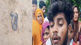 ಪತಿಯ ಬೆನ್ನತ್ತಿದ್ದ ಹಾವಿಗೆ ಪತ್ನಿ ಮಾಡಿದ್ದೇನು?
