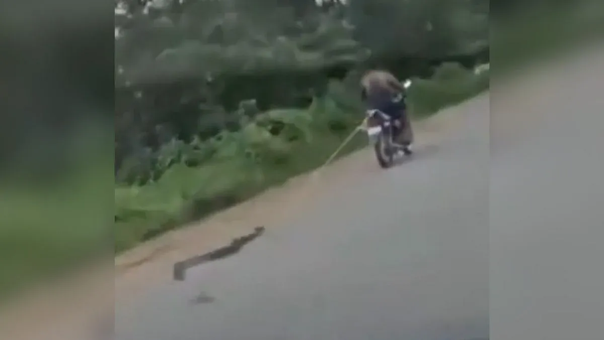 Viral Video: ಇದೆಂಥಾ ವಿಕೃತಿ?! ಛತ್ತೀಸ್‌ಗಢದಲ್ಲಿ ಬೃಹತ್ ಹೆಬ್ಬಾವನ್ನು ಬೈಕ್‌ಗೆ ಕಟ್ಟಿ ಎಳೆದೊಯ್ದ ಯುವಕ; ವೈರಲ್ ವಿಡಿಯೊಕ್ಕೆ ಆಕ್ರೋಶ