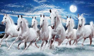 ಮನೆಯಲ್ಲಿ ಈ ಕುದುರೆ ಫೋಟೋ ಇಟ್ರೆ ನೆಗೆಟಿವ್ ಎನರ್ಜಿ ಬರಲ್ಲ