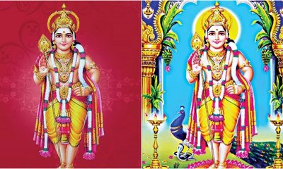 ಸುಬ್ರಹ್ಮಣ್ಯ ಷಷ್ಠಿ ದಿನದಂದು ಹೀಗೆ ಪೂಜೆ ಮಾಡಿ