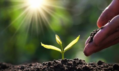 ಇಂದು ವಿಶ್ವ ಮಣ್ಣಿನ ದಿನ; ಇಲ್ಲಿದೆ ಮಣ್ಣಿನ ಸಂರಕ್ಷಣೆಯ ಮಹತ್ವ