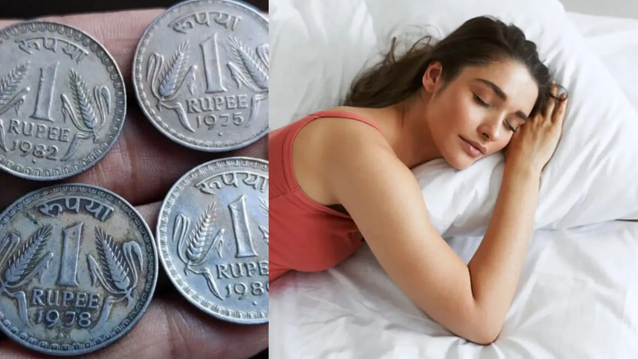 Vastu Tips: ದಿಂಬಿಗೆ ತಲೆ ಇಟ್ಟ ತಕ್ಷಣ ಸುಖ ನಿದ್ರೆ ನಿಮ್ಮದಾಗಬೇಕೇ..? ಅದಕ್ಕಾಗಿ ಈ ಸಿಂಪಲ್ ಟಿಪ್ಸ್ ಅನುಸರಿಸಿ