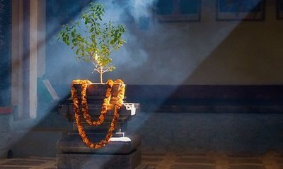 ತುಳಸಿಗೆ ಪ್ರತಿದಿನ ತುಪ್ಪದ ದೀಪ ಹಚ್ಚಿ; ಲಕ್ಷ್ಮೀ ದೇವಿ ಒಲಿಯುತ್ತಾಳೆ