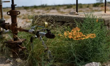 ಆಂಧ್ರ ಪ್ರದೇಶದಲ್ಲಿ ಅನಿಲ ಪೈಪ್‌ಲೈನ್ ಸೋರಿಕೆ