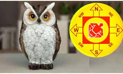 ಮನೆಯಲ್ಲಿ ಗೂಬೆ ವಿಗ್ರಹ ಇಟ್ಟರೆ ಶುಭವೇ?