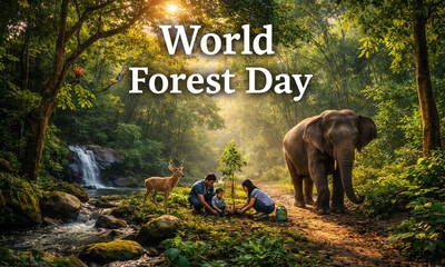 ಇಂದು ವಿಶ್ವ ಅರಣ್ಯ ದಿನ; ಏನಿದರ ಮಹತ್ವ?