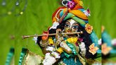 ಶ್ರೀಕೃಷ್ಣನ ಜನ್ಮದಿನದಂದು ಏನು ಮಾಡಬೇಕು?