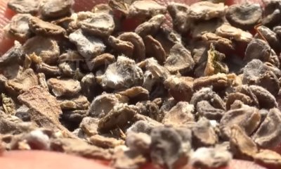 ಐಸಿಯು ನಲ್ಲಿ ಮೂವರ ಚೇತರಿಕೆ, ೪ ಜನ ಸಾಮಾನ್ಯ ವಾರ್ಡಿಗೆ ಶಿಫ್ಟ್