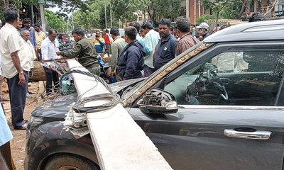 ಜನಸಂದಣಿಯ ಬಿಬಿರಸ್ತೆಯಲ್ಲಿ ಧರಾಘಾತವಾದ ಬೃಹತ್ ಮರ