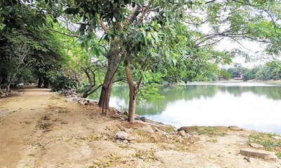 ಭರವಸೆಯಲ್ಲೇ ಉಳಿದ ಹಲಗೆವಡೇರಹಳ್ಳಿ ಕೆರೆ ಅಭಿವೃದ್ಧಿ