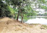 ಭರವಸೆಯಲ್ಲೇ ಉಳಿದ ಹಲಗೆವಡೇರಹಳ್ಳಿ ಕೆರೆ ಅಭಿವೃದ್ಧಿ