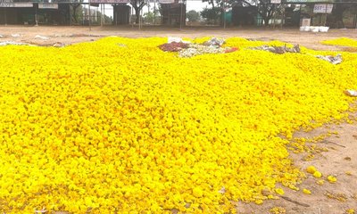 ಶ್ರಾವಣದಲ್ಲೂ ಹೂವಿಗೆ ಬೆಲೆ ಇಲ್ಲ