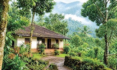 ಮನೆಯ ಸುತ್ತಮುತ್ತ ಮುದ ನೀಡುವ ಮರಗಳು !