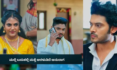 Amruthadhaare Serial: ಮಲ್ಲಿ ಬದುಕಲ್ಲಿ ಮತ್ತೆ ಅರಳುತಿದೆ ಅನುರಾಗ