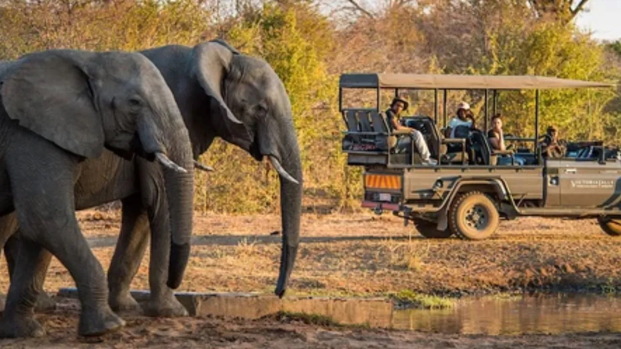 World Elephant Day: ಆನೆಗಳಿರುವ ಭಾರತದ ಜನಪ್ರಿಯ 6 ರಾಷ್ಟ್ರೀಯ ಉದ್ಯಾನವನಗಳಿವು; ಕರ್ನಾಟಕದ ತಾಣವೂ ಇದೆ - Image 6