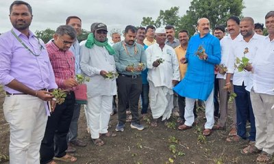 ತಾಲೂಕಿನ ವಿವಿಧೆಡೆ ಬರ ವೀಕ್ಷಣೆ ಮಾಡಿದ ಶಾಸಕ ಅಶೋಕ ಪಟ್ಟಣ