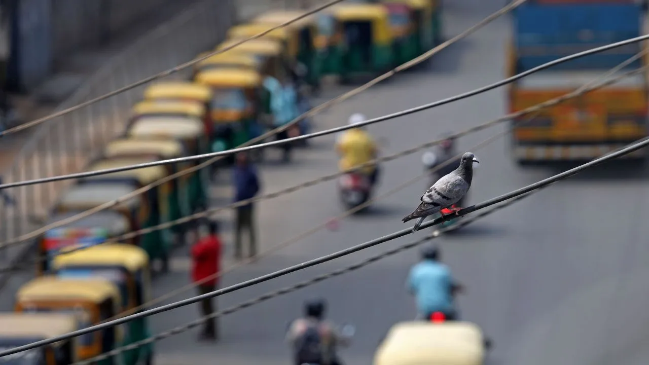 Auto LPG shortage: ಬೆಂಗಳೂರಿನಲ್ಲಿ ಎಲ್‌ಪಿಜಿಗೆ ಹಾಹಾಕಾರ; ಬಂಕ್‌ಗಳ ಮುಂದೆ ಕಿ.ಮೀ.ಗಟ್ಟಲೇ ಆಟೋಗಳ ಕ್ಯೂ! - Image 8