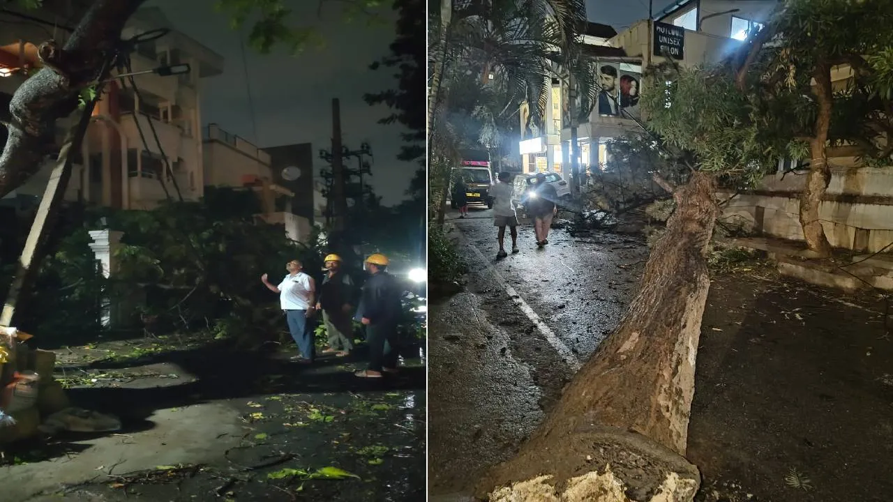 ಸಾರ್ವಜನಿಕರೇ ಗಮನಿಸಿ; ಮಳೆ ಸಂಬಂಧಿತ ಸಮಸ್ಯೆ ನಿವಾರಣೆಗೆ ಸಹಾಯವಾಣಿ ಆರಂಭಿಸಿದ ಮೆಸ್ಕಾಂ