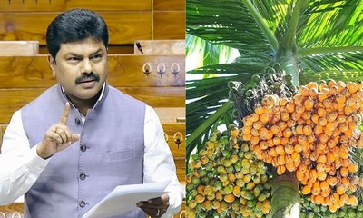 ಅಡಿಕೆ ಬೆಳೆಗಾರರ ಸಂಕಷ್ಟ ಪರಿಹರಿಸಿ; ಕೇಂದ್ರಕ್ಕೆ ಬಿ.ವೈ.ರಾಘವೇಂದ್ರ ಮನವಿ