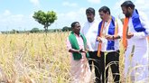 ವಿಧಾನಸಭೆ ವಿಸರ್ಜಿಸಿ ಚುನಾವಣೆ ಎದುರಿಸಿ: ಬಿ.ವೈ. ವಿಜಯೇಂದ್ರ ಸವಾಲು