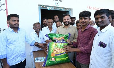 ಮಳೆ ಚುರುಕು: ರೈತರ ಮುಖದಲ್ಲಿ ಮಂದಹಾಸ