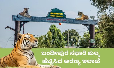 ಬಂಡೀಪುರ ಸಫಾರಿಗೆ ಇನ್ಮುಂದೆ ದುಬಾರಿ; ಪ್ರವೇಶ ಶುಲ್ಕದಲ್ಲಿ ಭಾರಿ ಏರಿಕೆ