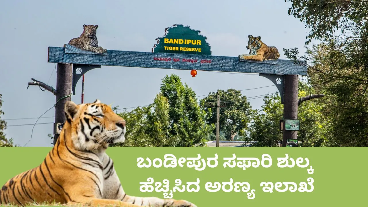 ಪ್ರವಾಸಿಗರ ಗಮನಕ್ಕೆ; ಇನ್ಮುಂದೆ  ಬಂಡೀಪುರ ಸಫಾರಿಗೆ ನೀವು ಹೆಚ್ಚುವರಿ ಹಣ ಪಾವತಿಸ್ಲೇಬೇಕು; ಸೆಪ್ಟೆಂಬರ್ 1ರಿಂದ ಪರಿಷ್ಕೃತ ಶುಲ್ಕ