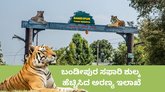 ಬಂಡೀಪುರ ಸಫಾರಿಗೆ ಇನ್ಮುಂದೆ ದುಬಾರಿ; ಪ್ರವೇಶ ಶುಲ್ಕದಲ್ಲಿ ಭಾರಿ ಏರಿಕೆ