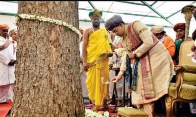 ಮಹಾನವಮಿಯಂದು ಪೂಜೆಗೊಳ್ಳುವ ಬನ್ನಿ ಮರದ ಮಹತ್ವ