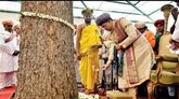ಮಹಾನವಮಿಯಂದು ಪೂಜೆಗೊಳ್ಳುವ ಬನ್ನಿ ಮರದ ಮಹತ್ವ