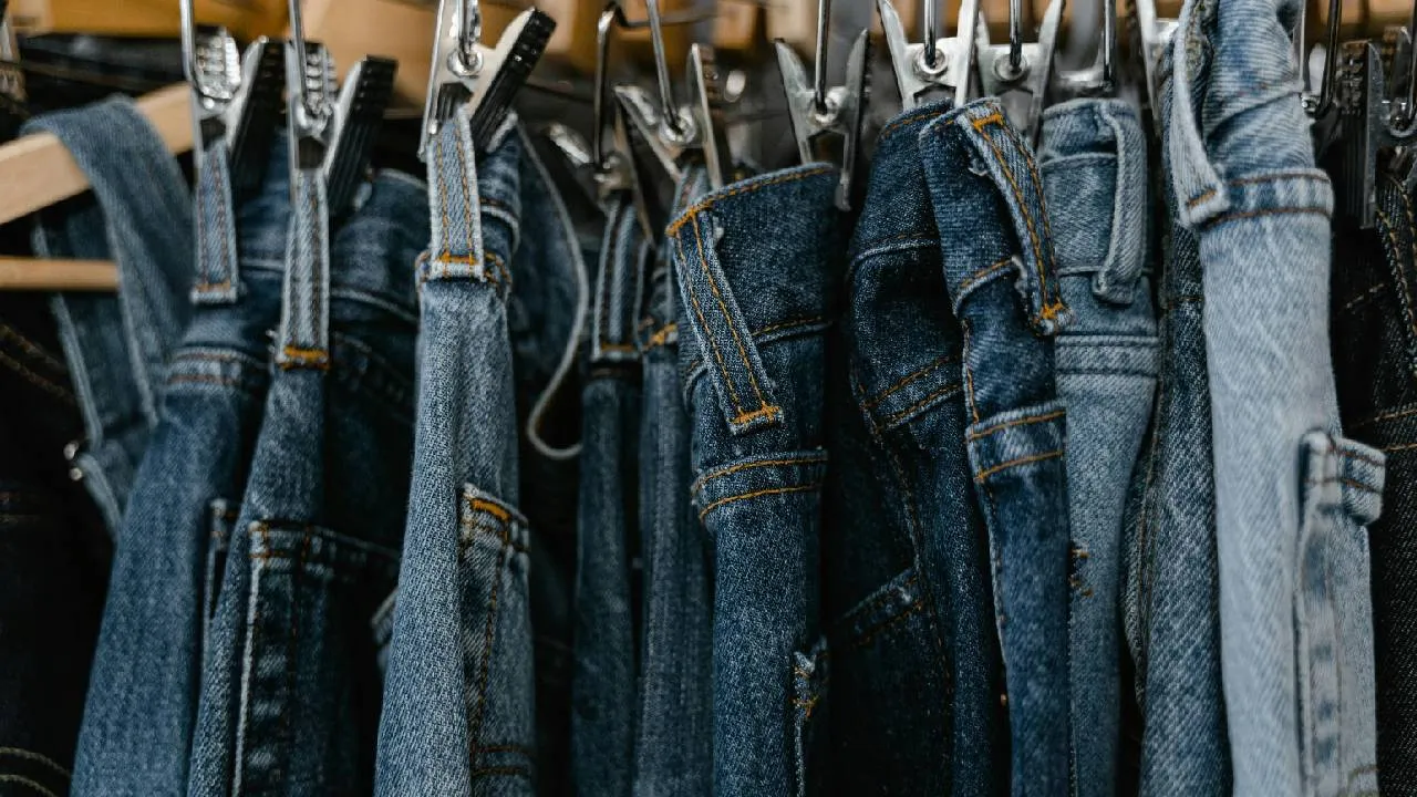 Gen z Fashion 2026: ಜೆನ್ ಝೀ ಹುಡುಗಿಯರ ಫ್ಯಾಷನ್‌ಗೆ ಸೇರಿದ ಬೆಲ್ ಬಾಟಮ್ ಜೀನ್ಸ್ ಪ್ಯಾಂಟ್ಸ್ - Image 2
