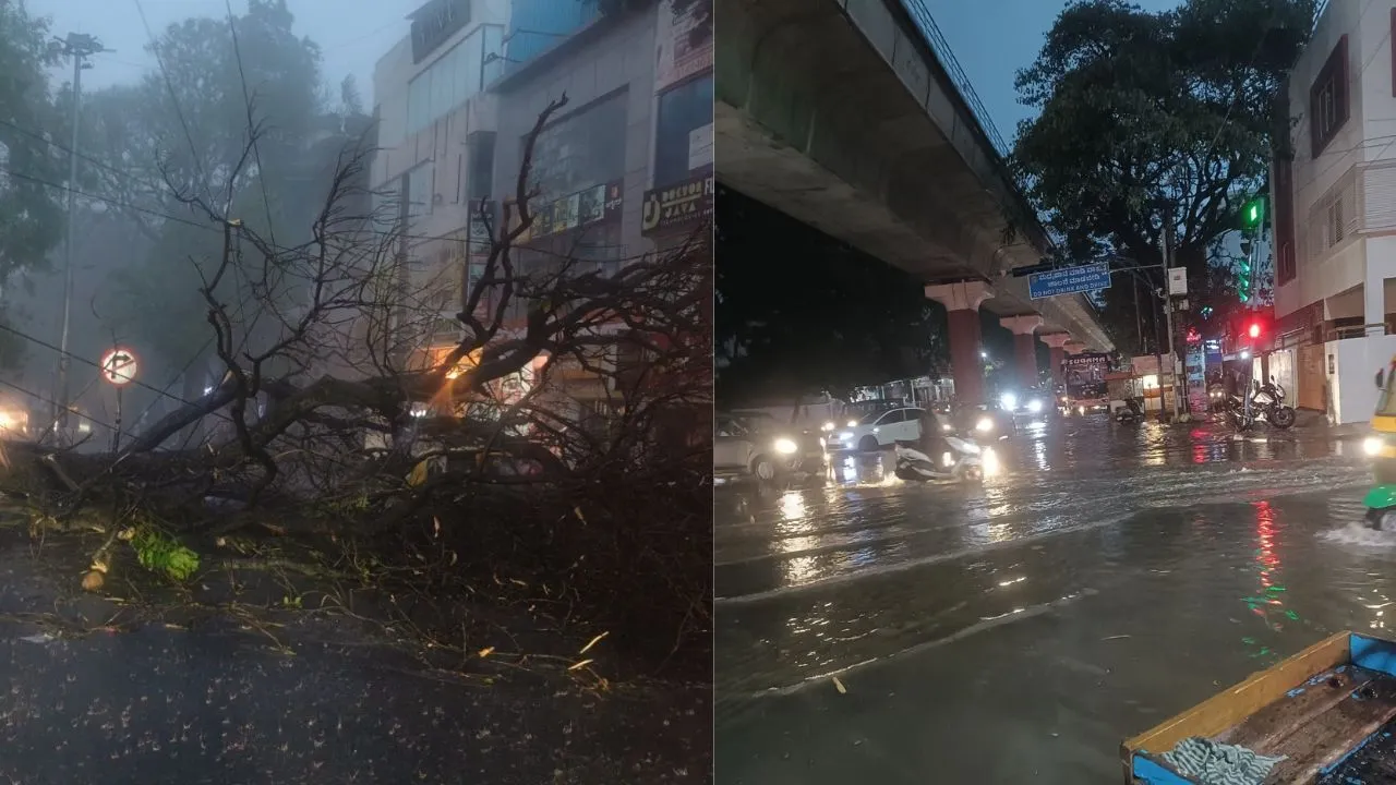 Bengaluru Rains: ಬೆಂಗಳೂರಿನಲ್ಲಿ ಮುಂದುವರಿದ ಮಳೆಯ ಆರ್ಭಟ; ಹಲವೆಡೆ ಕೆರೆಯಂತಾದ ರಸ್ತೆಗಳು, ಭಾರಿ ಸಂಚಾರ ದಟ್ಟಣೆ! - Image 2