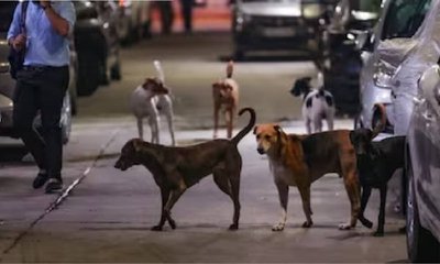 ಭಾರತೀಯ ಆರೋಗ್ಯ ಸೌಲಭ್ಯ ಬಗ್ಗೆ ಸ್ಟಾರ್ಟ್‌ಅಪ್ ಸಂಸ್ಥಾಪಕನ ಮೆಚ್ಚುಗೆ