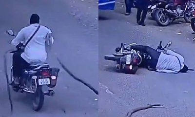 ಮರದ ಕೊಂಬೆ ಬಿದ್ದು ಬೈಕ್ ಸವಾರ ಗಂಭೀರ: ಸಿಸಿಟಿವಿ ದೃಶ್ಯ ವೈರಲ್!