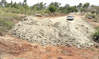 Hari Prasad Naadig Column: ತಬ್ಬಲಿಯು ನೀನಾದೆ ಬೆಟ್ಟವೇ...