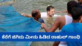 ಕೆರೆಗೆ ಜಿಗಿದು ಮೀನು ಹಿಡಿದ ಕಾಂಗ್ರೆಸ್‌ ನಾಯಕ ರಾಹುಲ್‌ ಗಾಂಧಿ