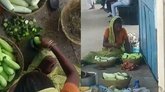 ಸೌತೆಕಾಯಿ ತಾಜಾವಾಗಿ ಕಾಣುವಂತೆ ಮಾಡಲು ಕೃತಕ ಬಣ್ಣ ಬಳಿದ ಮಹಿಳೆಯರು!