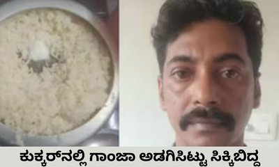 ಗಾಂಜಾ ಕುಕ್ಕರ್‌ ಒಳಗೆ ಅಡಗಿಸಿಟ್ಟು ಸಿಕ್ಕಿಬಿದ್ದ ʼಬುದ್ಧಿವಂತʼ