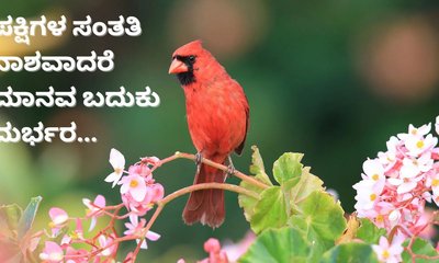 ಪಕ್ಷಿಗಳ ಸಂತತಿ ನಾಶವಾದರೆ ಮಾನವರ ಬದುಕು ನರಕ