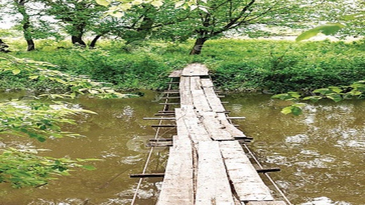 Bridge R