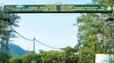 ಕಾವೇರಿ ವನ್ಯಧಾಮದಲ್ಲಿ ಎರಡು ಹುಲಿ ಮರಿಗಳ ಸಾವು