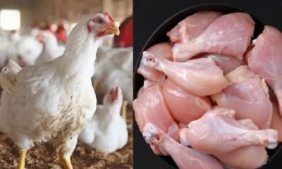 ಕೋಳಿ ಮಾಂಸದ ಬೆಲೆಯಲ್ಲಿ ಭಾರೀ ಏರಿಕೆ!