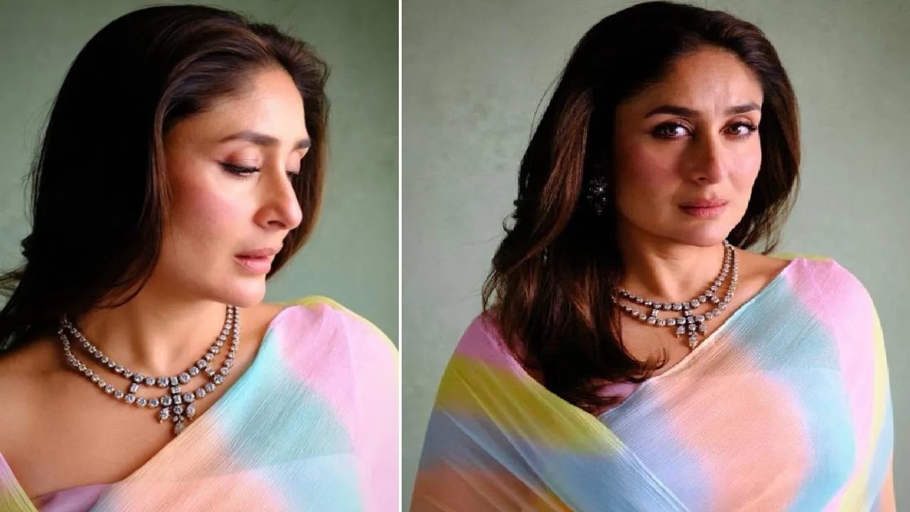 Chiffon Saree