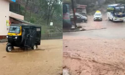 ಚಿಕ್ಕಮಗಳೂರಿನಲ್ಲಿ ಮಳೆ ಆರ್ಭಟ; ಹಲವೆಡೆ ಧರೆಗುರುಳಿದ ಮರಗಳು