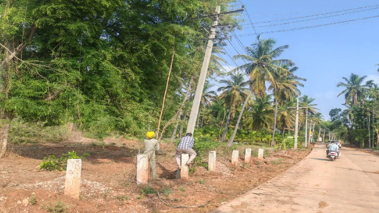 ಚಿಕ್ಕನಾಯನಕಹಳ್ಳಿಯಲ್ಲಿ ಅಬ್ಬರಿಸಿದ ವರುಣ: ನೆಲಕ್ಕುರುಳಿದ 100ಕ್ಕೂ ಹೆಚ್ಚು ವಿದ್ಯುತ್ ಕಂಬಗಳು
