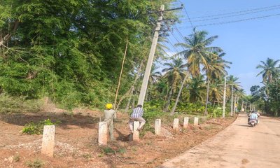 ಚಿಕ್ಕನಾಯನಕಹಳ್ಳಿಯಲ್ಲಿ ನೆಲಕ್ಕುರುಳಿದ 100ಕ್ಕೂ ಹೆಚ್ಚು ವಿದ್ಯುತ್ ಕಂಬಗಳು