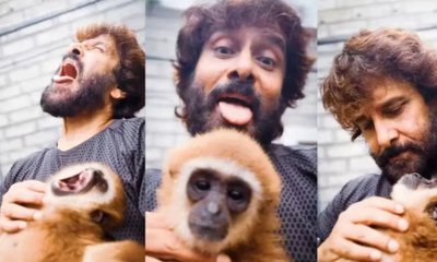 ಚಿಯಾನ್ ವಿಕ್ರಮ್‌ಗೆ ವಿರುದ್ಧ ತನಿಖೆ; ಅಷ್ಟಕ್ಕೂ ಆಗಿದ್ದೇನು?
