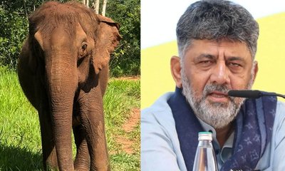 ಹೆಣ್ಣಾನೆ ದಾನ ಮಾಡುವಂತೆ ಕೇರಳಂ ಸಿಎಂಗೆ ಡಿಕೆಶಿ ಪತ್ರ