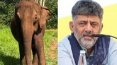ಹೆಣ್ಣಾನೆ ದಾನ ಮಾಡುವಂತೆ ಕೇರಳಂ ಸಿಎಂಗೆ ಡಿಕೆಶಿ ಪತ್ರ